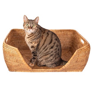Artifacts Trading Company Rattan Pet Bed Honey Brown